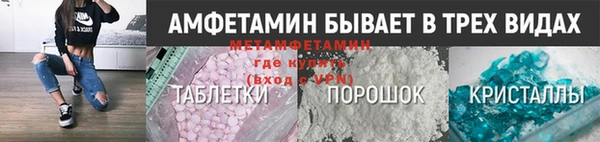 прущие грибы Новодвинск