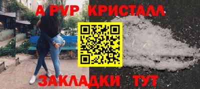 тгк Гай