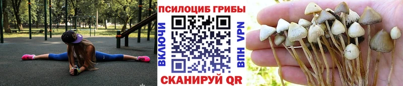 Галлюциногенные грибы ЛСД  KRAKEN ONION  Костомукша 
