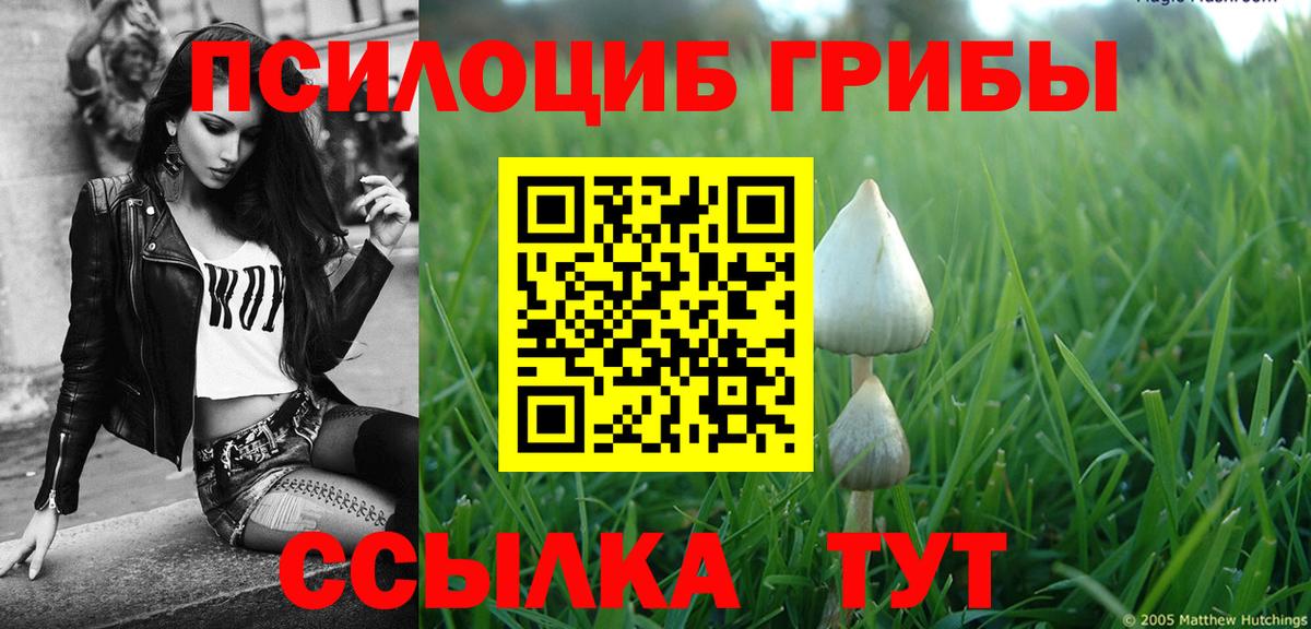 Костомукша  Псилоцибиновые грибы мицелий  Псилоцибиновые грибы Psilocybe  Вход с VPN 